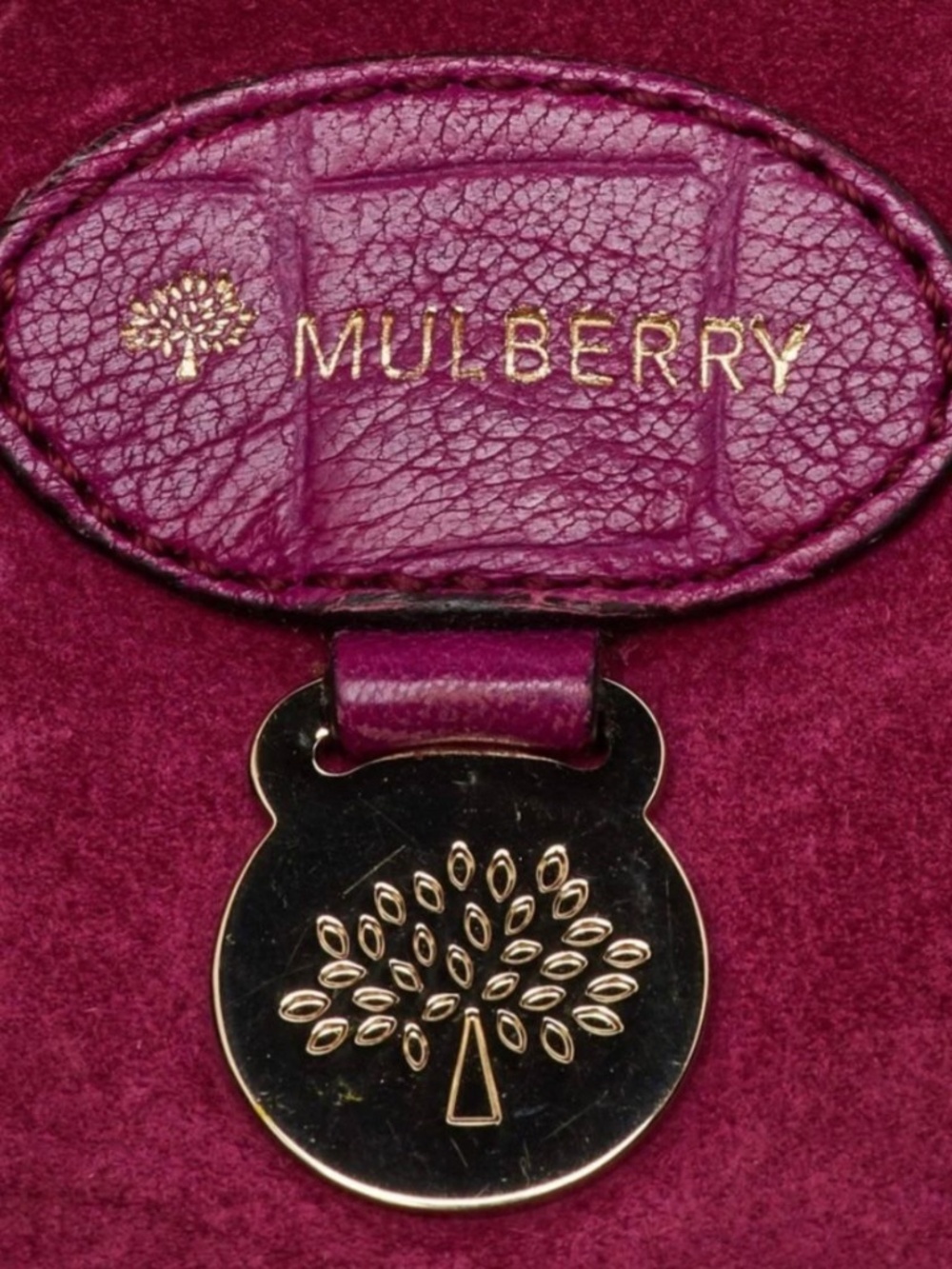 BIG ORINAL MULBERRY IN PLUM